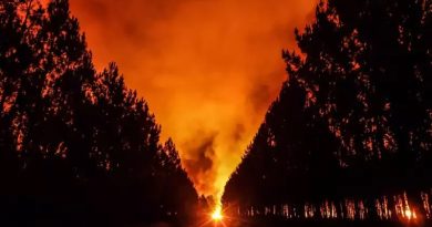 欧洲今年野火肆虐面积近66万公顷 创历年同期纪录