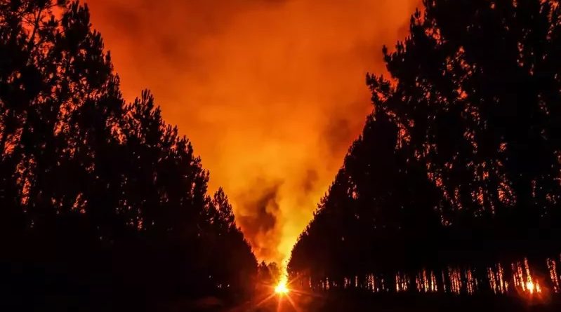 欧洲今年野火肆虐面积近66万公顷 创历年同期纪录