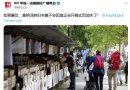 保住了：塞纳河畔旧书摊不会因奥运开幕式消失了！
