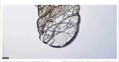 2026年巴黎开年展｜中国学院影像艺术的当代呈现